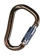 Black Diamond RockLock Twistlock Carabiner