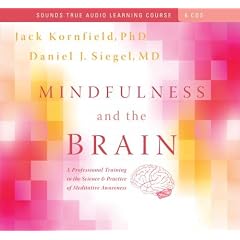 Mindfulness and the Brain: A Professional Training in the Science and Practice of... by Jack Kornfield PhD and Daniel J. Siegel MD