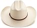 Stetson-Men's-Alamo-Hat,-Natural,-7-5-8_5.jpg