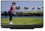 Mitsubishi WD-73734 73-Inch 1080p DLP HDTV