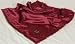 South Carolina Baby Blanket