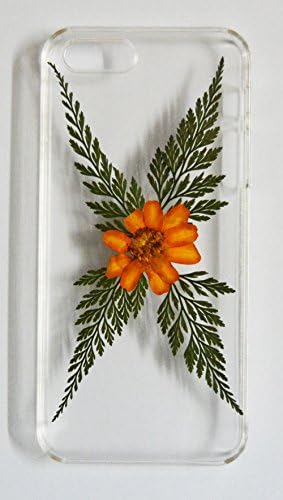 Pressed Flower Iphone 5 Case, Uokwiwi® (Butterfly Style)unique Handmade Orange Daisy and Leaf Real Flowers Case for Iphone 5/5s