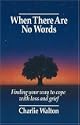 When There are No Words