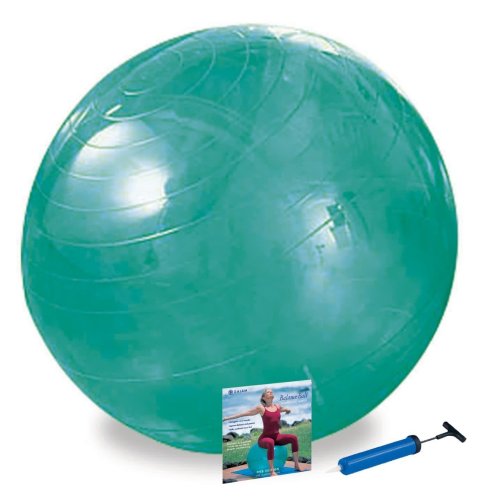 Healing Arts by Gaiam 65cm Beginner Balance Ball Kit