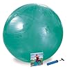 Healing Arts by Gaiam 65cm Balance Ball Kit
