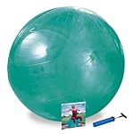 Healing Arts by Gaiam 65cm Balance Ball Kit