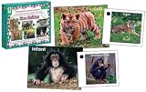 CARSON DELLOSA LACING CARDS ZOO BABIES