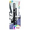 Pentel Arts Pocket Brush Pen with Refills, 1 Pen and 2 Refills (GFKP3BPA)