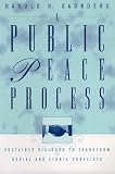 A Public Peace Process: Sustained Dialogue to Transform Racial and Ethnic Conflicts