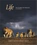 Life: The Science of Biology, 7th Edition