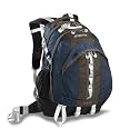 JanSport Equinox Daypack