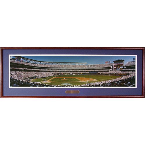 Everlasting Images San Diego Padres 1998 NL Champions Deluxe Framed Photo