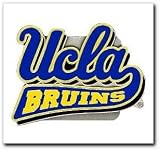 Class III Hitch Cover 2, UCLA Bruins