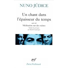 Un chant dans l'�paisseur du temps. M�ditation sur des ruines