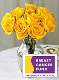 Breast Cancer Fund Yellow Roses, Eco-Friendly - Veriflora Certified, Yellow Rose Bouquet