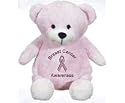 Stuffed 14" teddy bear with custom embroidered Breast Cancer Awareness support ribbon.