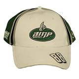 DALE EARNHARDT JR AMP WHITE GREEN # 88 CAP HAT NASCAR