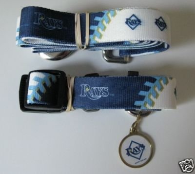 Tampa Bay Rays Dog Pet Set Leash Collar ID Tag XS