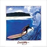 Banzai Pipeline, Hawaii, Surfing Art Poster Print, 18x18