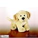 Toys : WEBKINZ - Yellow Lab