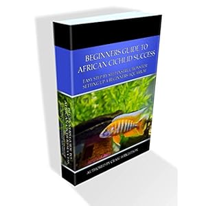 Beginners Guide to African Cichlid Success