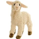 Kid White Sheep 10