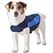 Thundershirt Blue Polo Small