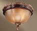 Minka Lavery Illuminati 2-Light Flush Mount 6359-177