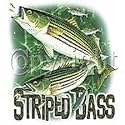 Striped Bass Adult T-Shirt