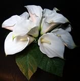 Latex White Calla Lily Bridal Bouquet