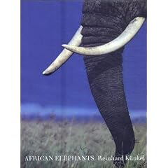 African Elephants (Harvill African)