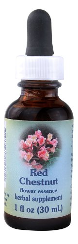 Flower Essence Healing Herbs Red Chestnut Dropper -- 1 fl oz
