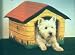Cosi Kennel Novelty Pet Bed