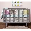 DwellStudio Charlotte Multi 4-Piece Baby Crib Bedding Set