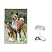 Basenji Flip Top Lighter
