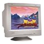 ViewSonic G810 21" CRT Monitor (PC/Mac)