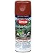 Krylon Outdoor Spaces Satin Finish Aerosol Paint