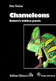 Chameleons: Nature s Hidden Jewels