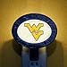 Art-Glass Nightlight-West Virginia
