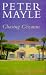 Chasing Cezanne (Hardcover)