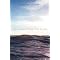 Books about interesting things