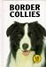 Border Collies (