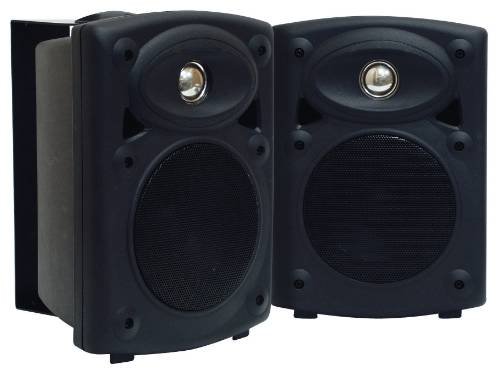 Amplified 5 Monitor