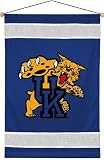 NCAA Kentucky Wildcats Sidelines Wall Hang