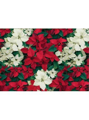 SUSY CARD Weihnachts-Geschenkpapier