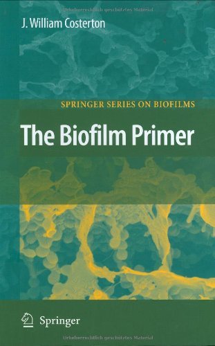 The Biofilm Primer (Springer Series on Biofilms) On Sale