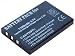 iTEKIRO 1100mAh Battery for Toshiba Camileo H10 H20 P10 P30 S10 Digital Video Cameras