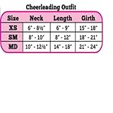 Pets First NFL Denver Broncos Dog Cheerleader Dress, Small