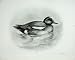 1906 THE WIGEON MARECA PENELOPE ADULT NUPTIAL PLUMAGE
