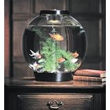 biOrbTabletopAquarium